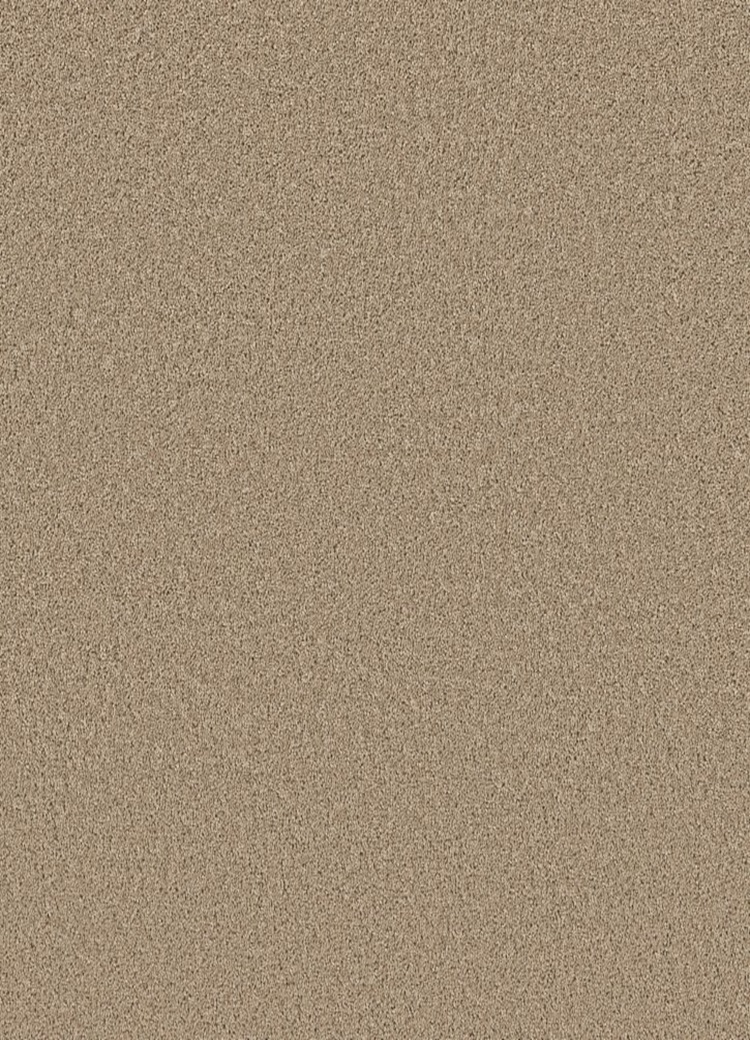 Image Alt Text